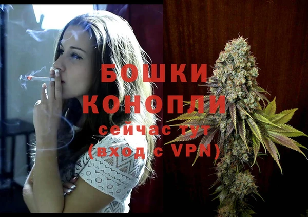 ECSTASY Богданович